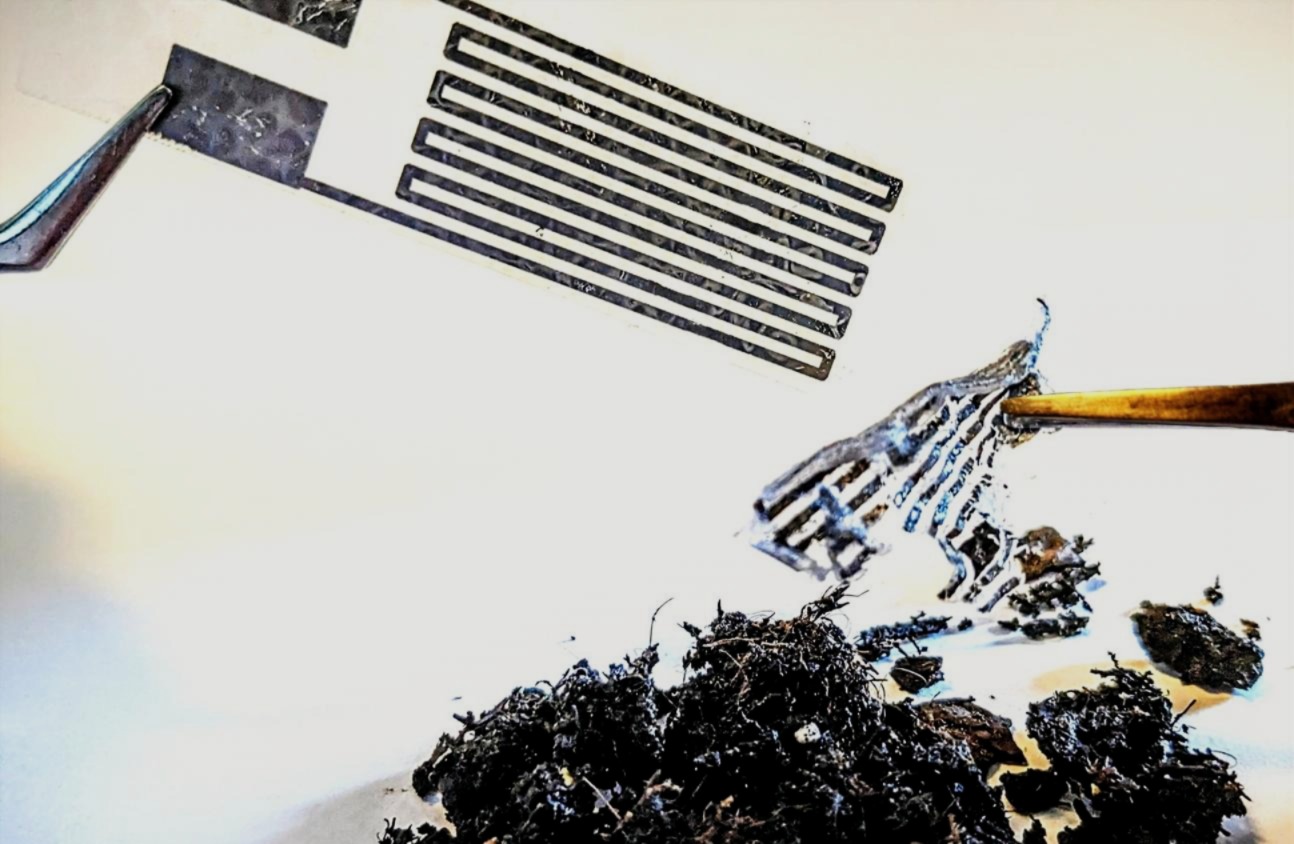 Samples of biodegradable materials in the lab